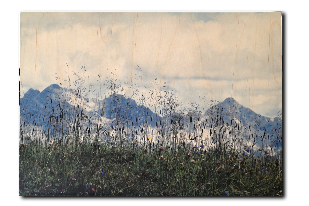 Kunstdruck auf Holz, Bergblumen, Birkenholz Format: 54 x 37 cm 15 mm ick Querformat
