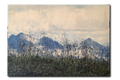 Kunstdruck auf Holz, Bergblumen, Birkenholz Format: 54 x 37 cm 15 mm ick Querformat