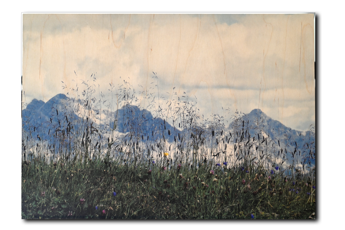 Kunstdruck auf Holz, Bergblumen, Birkenholz Format: 54 x 37 cm 15 mm ick Querformat