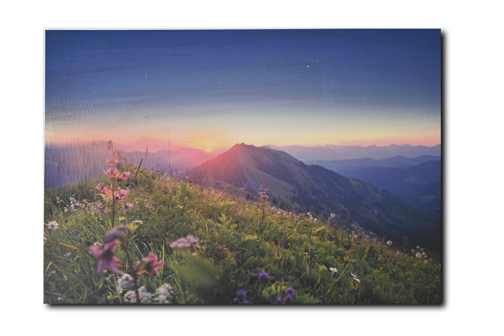 Kunstdruck auf Holz, Nagelfluhwiese im Sonnenaufgang, grün, Birkenholz Format: 42 x 31 cm 15 mm oder 9 mm dick Querformat